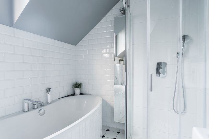 Contemporary Shower Areas